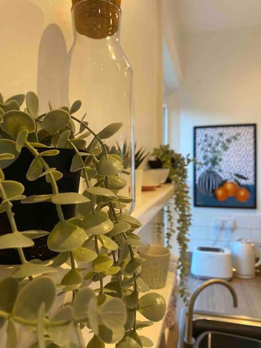 Garden Apartment, Central Harrogate With Parking 外观 照片