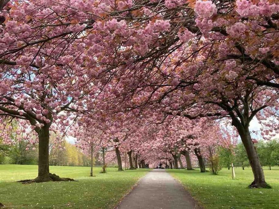 Garden Apartment, Central Harrogate With Parking 外观 照片